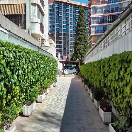 Marques De La Conquista Apartment Benidorm Exterior photo